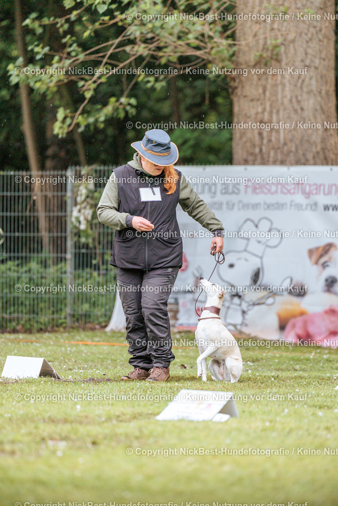 RO-Blumenthal-2026-Nickbest-Hundefotografie-0138 | Dein Hund! Dein Moment! Deine Erinnerungen! Hundefotografie in Bremen Blumenthal. Ich fange die besonderen Momente deines Vierbeiners ein – ob Indoor mit Blitzanlage oder in der freien Natur. Sicher dir dein Moment und dein Termin für eure Erinnerungen.
