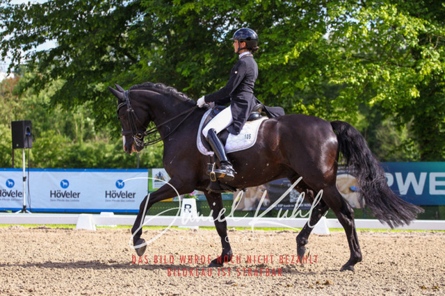 DKP41520 | Turnierfotos kaufen im Webshop von Daniel Kuhl Photography – entdecke professionelle Reitsportfotos aus Turnieren & Events. Hochwertige Turnierbilder online bestellen & sichern. Jetzt Fotos von Reitsportturnieren kaufen!