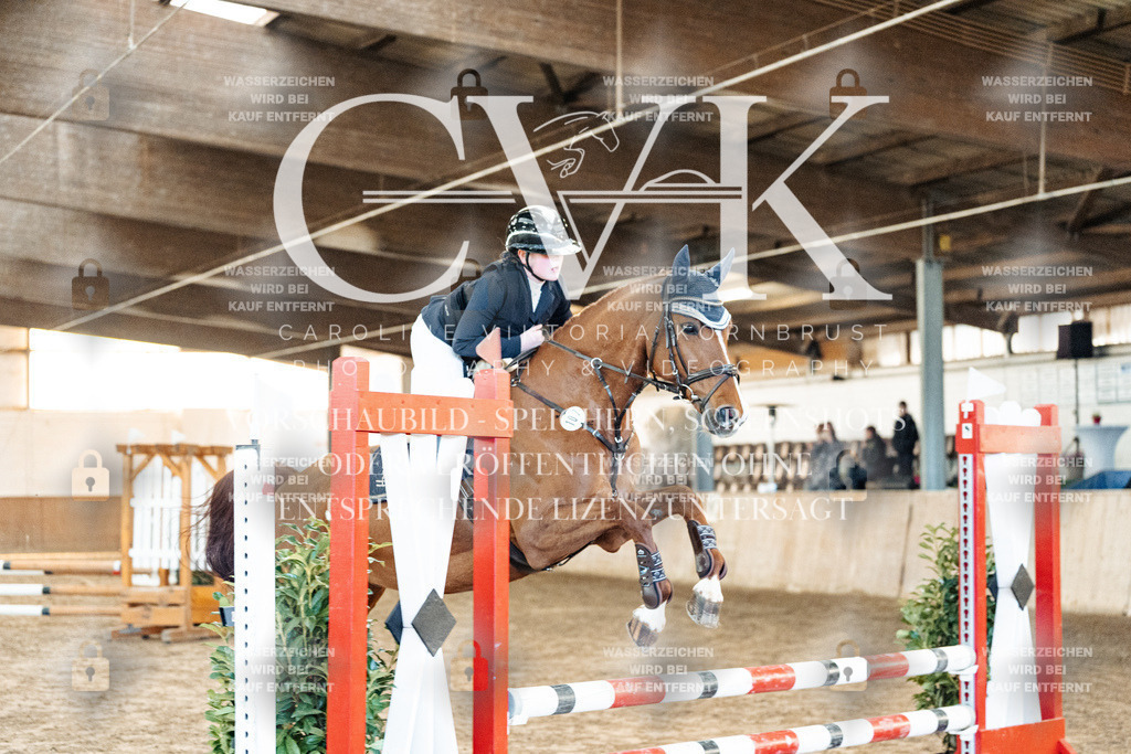 CK903739 | Turnierfotografie Pferdefotografie Trier Rheinland-Pfalz Pferdesport Reitsport Tierfotografie Sportfotografie Pferdevideo Pferdevideografie Equestrianvideography equestrianphotography  - Realisiert mit Pictrs.com