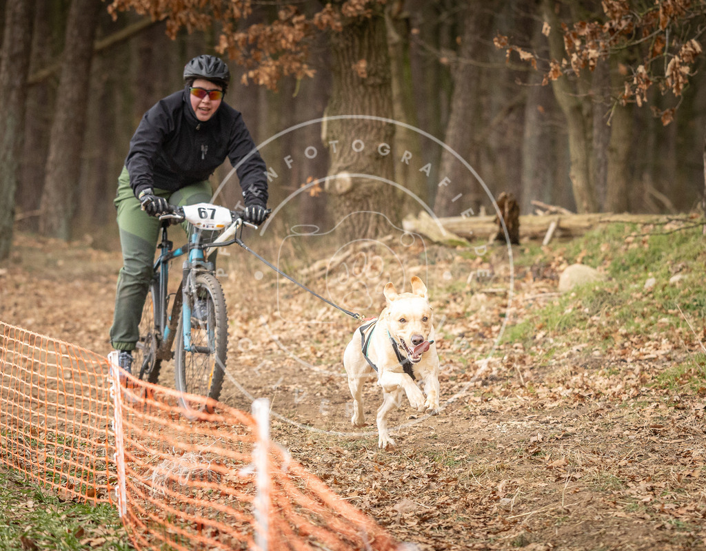 Pfotenfotografie_DV3A3418 | Hundefotografie, Tierfotograf, Pfotenfotografie, Fotoshooting Hund, Hunde Portrait, Hundesport, Hundeportraits, Heideshooting, Hunde, Sportfotograf, Hundefotograf, Turnierhundsport, THS,  - Realisiert mit Pictrs.com