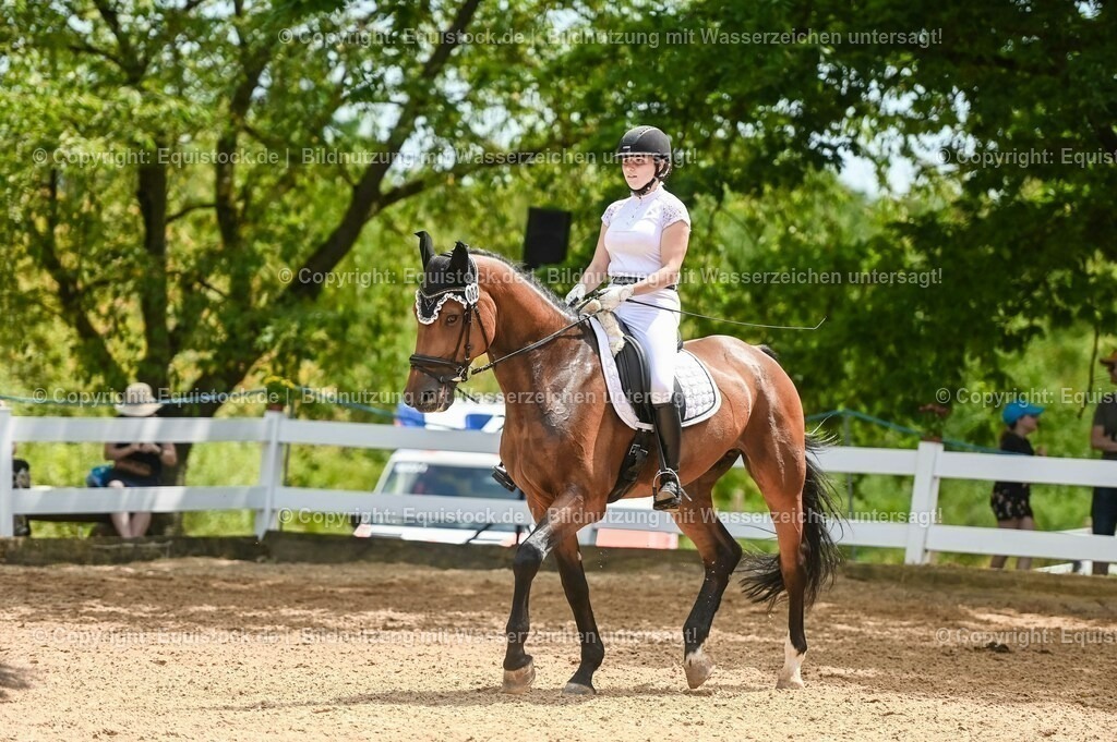 20230715_05_Dressurprüfung Kl.A++_0406 | equistock