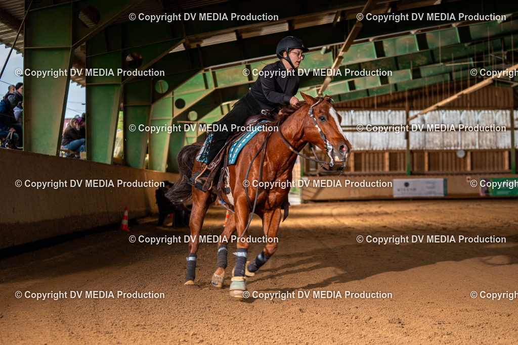 Balingen Tag 4-1301 | dv-media-shop - Realisiert mit Pictrs.com