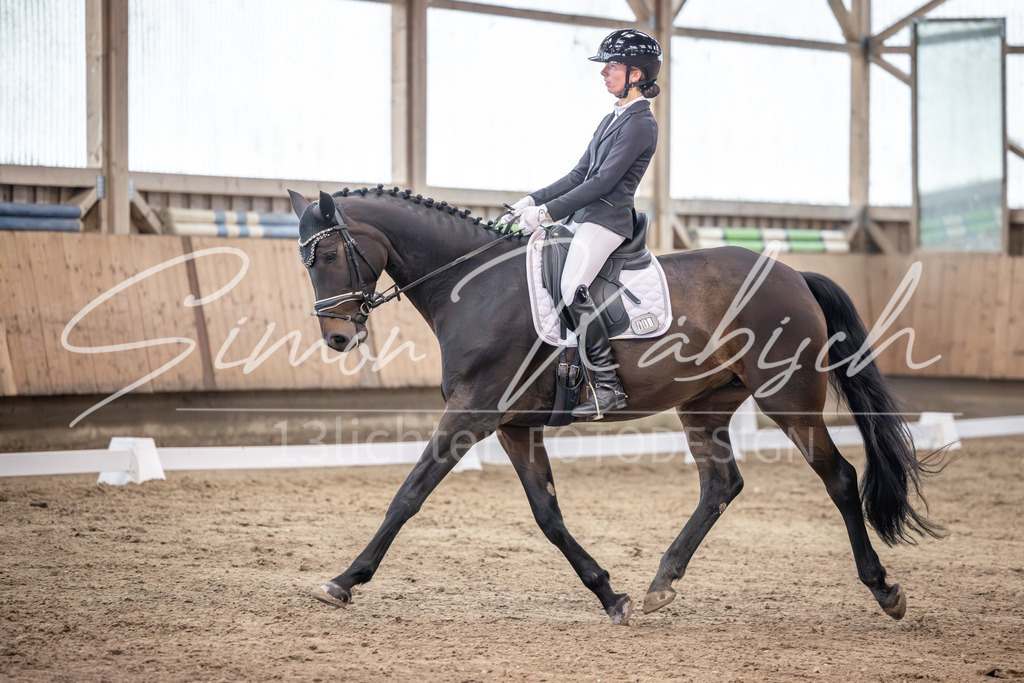 20251011-_3LI1802 | Tierfotografie Pferde, Hunde, Katzen, Haustiere.
Turnierfotografie Reitturniere, Reiten, Springreiten, Dressur in Hanau, dem Main-Kinzig-Kreis und dem Rhein-Main- Gebiet um Frankfurt