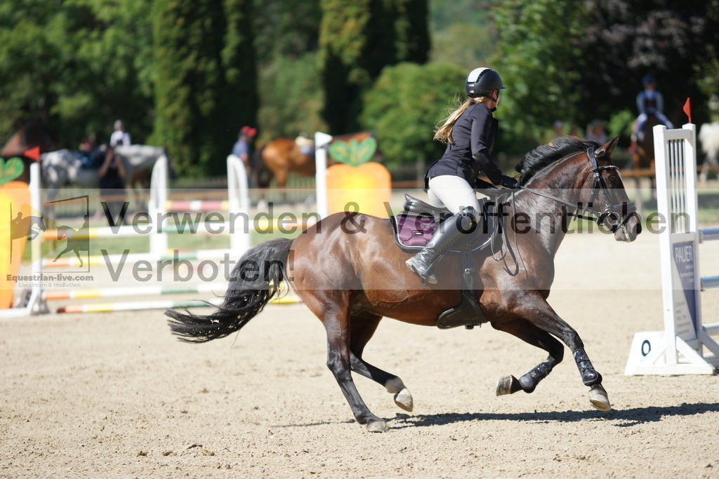 DSC07711 | equestrian-live-com