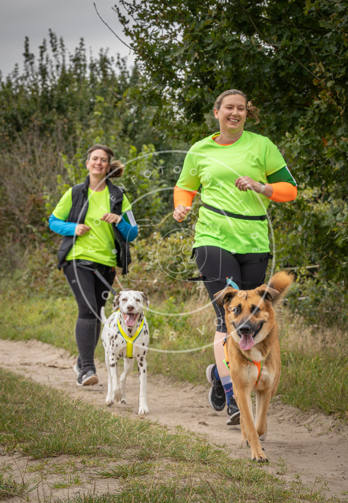 Pfotenfotografie_DV3A6017 | Hundefotografie, Tierfotograf, Pfotenfotografie, Fotoshooting Hund, Hunde Portrait, Hundesport, Hundeportraits, Heideshooting, Hunde, Sportfotograf, Hundefotograf, Turnierhundsport, THS,  - Realisiert mit Pictrs.com