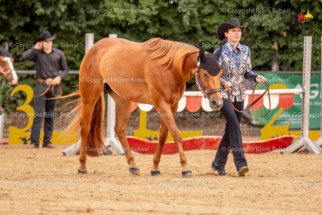 LMS06660 | BS-foto