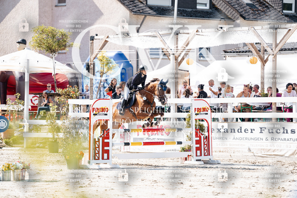 CK908058 | Turnierfotografie Pferdefotografie Trier Rheinland-Pfalz Pferdesport Reitsport Tierfotografie Sportfotografie Pferdevideo Pferdevideografie Equestrianvideography equestrianphotography  - Realisiert mit Pictrs.com