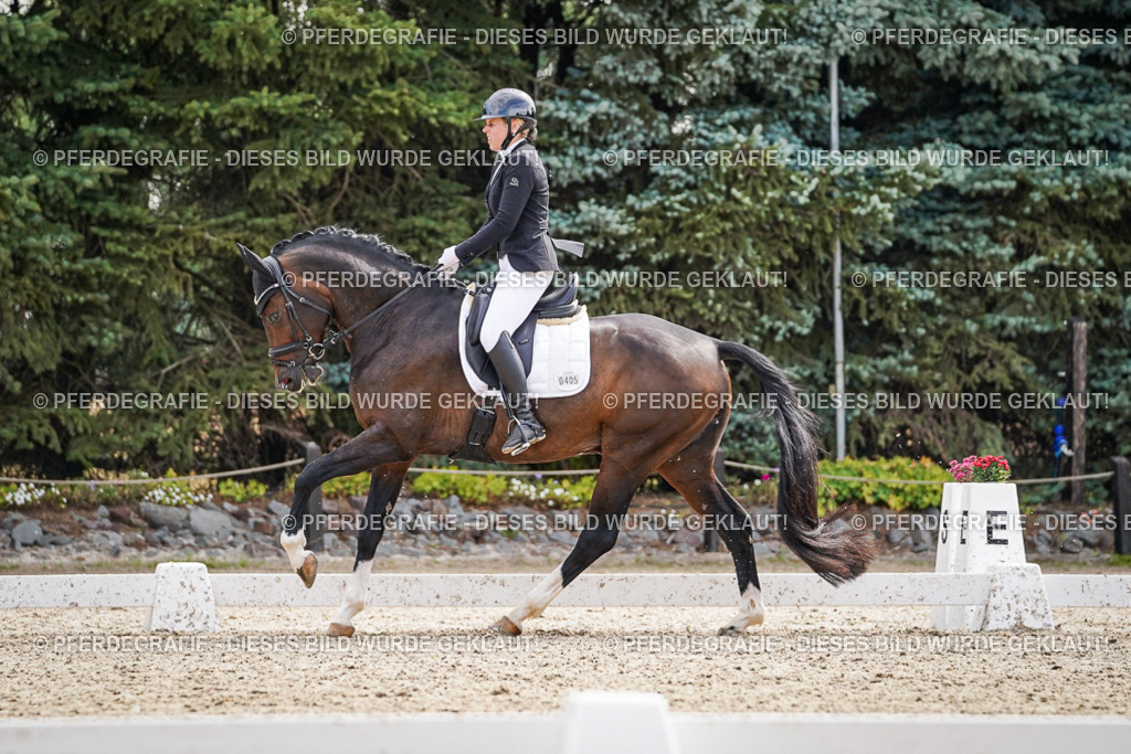 DSC08169 | Pferdegrafie