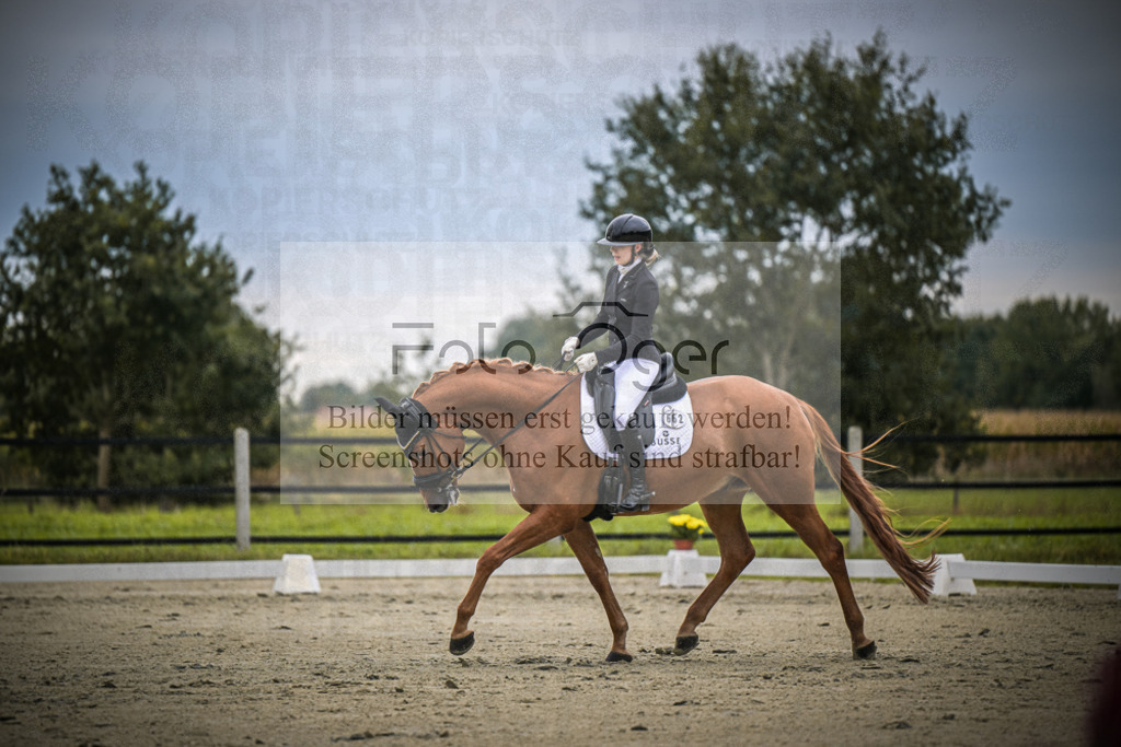 DOS_1543 | Entdecke hochwertige Reitturnierfotos von Foto Oger. Professionell, emotional und authentisch – jetzt Lieblingsmomente im Shop bestellen.Deutschlandweite Turnierfotografie. - Realisiert mit Pictrs.com