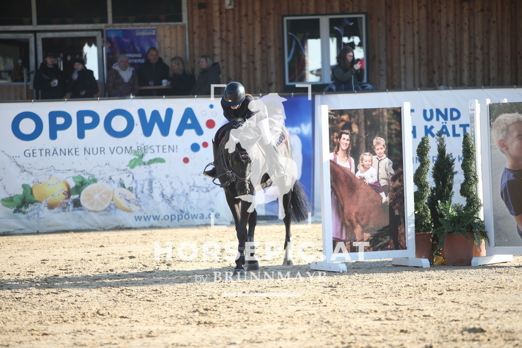 AS8V4703 | Willkommen bei Brunnmayr - Design & Fotografie – Ihrem Spezialisten für Reitturniere und Pferdeveranstaltungen in Oberösterreich, Salzburg und Bayern! Seit über 17 Jahren sind wir leidenschaftlich dabei.