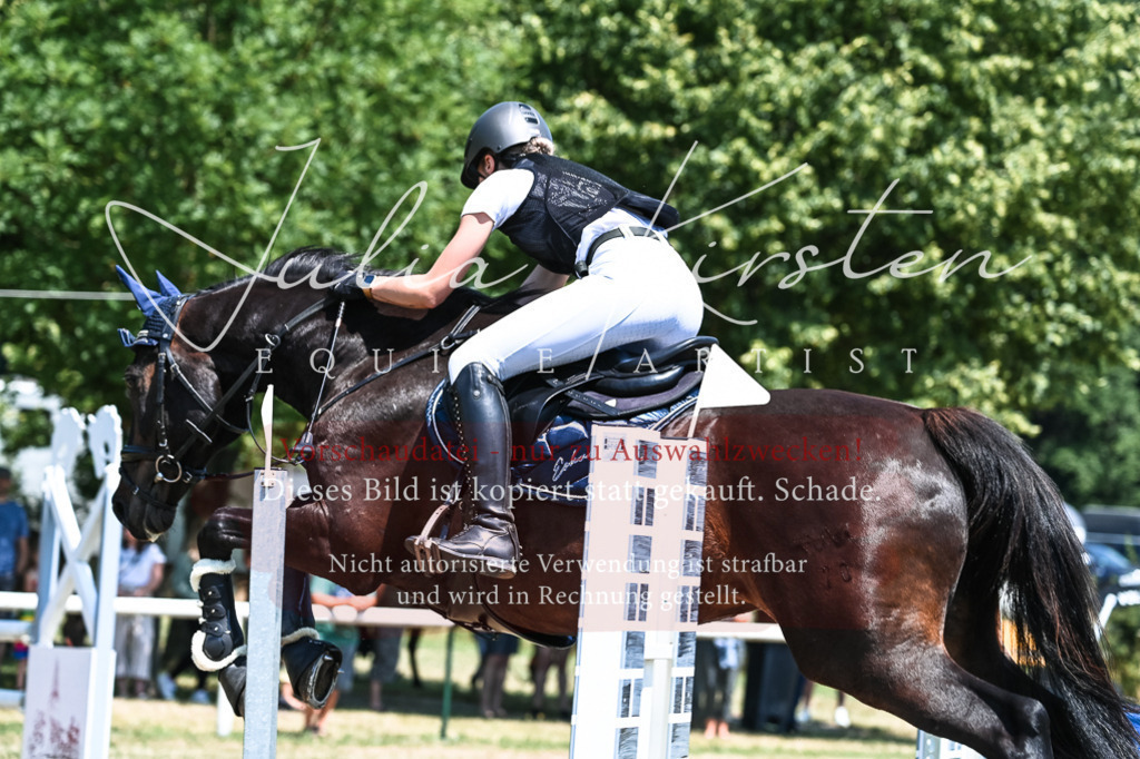 DSC_0278 | Pferde- und Turnierfotografie in Westsachsen. Pferdeportraits, Auftragszeichnungen und intuitive Kunst.