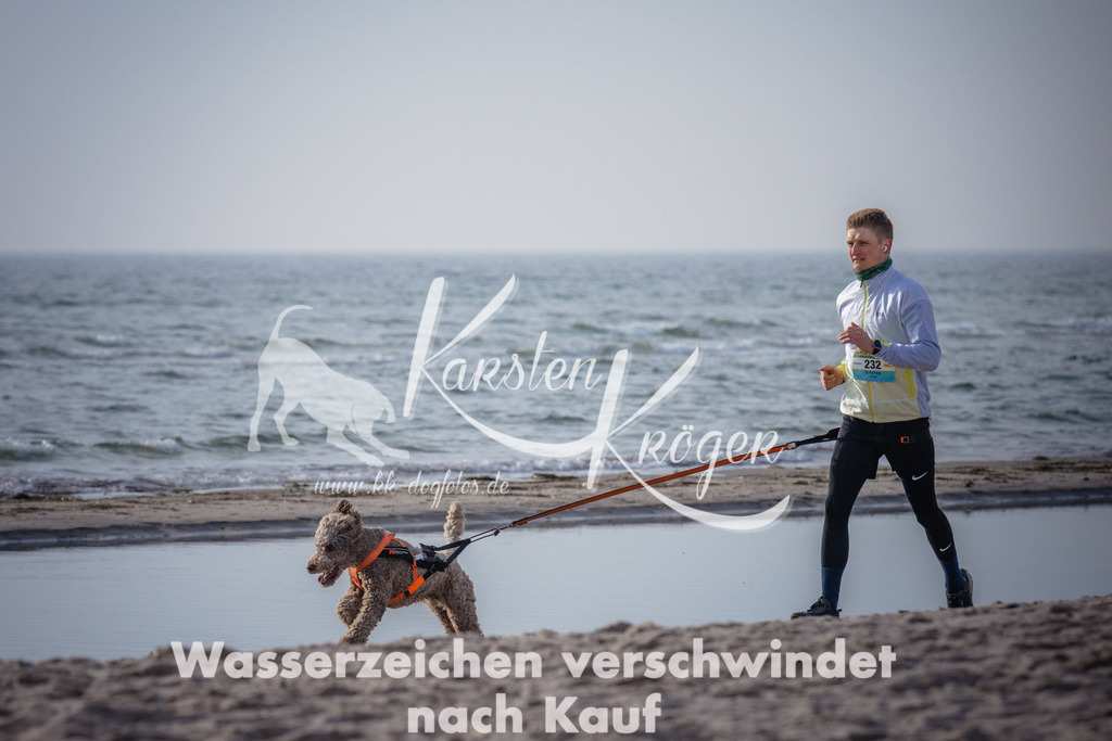 1010_ZZ94015 | kk-dogfotos