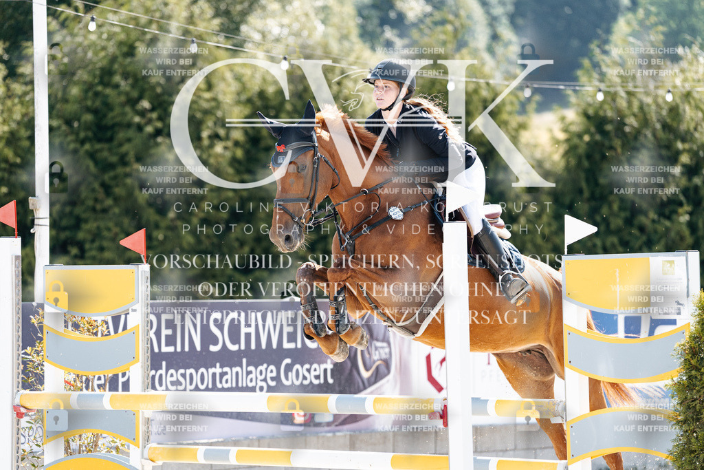 CK907959 | Turnierfotografie Pferdefotografie Trier Rheinland-Pfalz Pferdesport Reitsport Tierfotografie Sportfotografie Pferdevideo Pferdevideografie Equestrianvideography equestrianphotography  - Realisiert mit Pictrs.com
