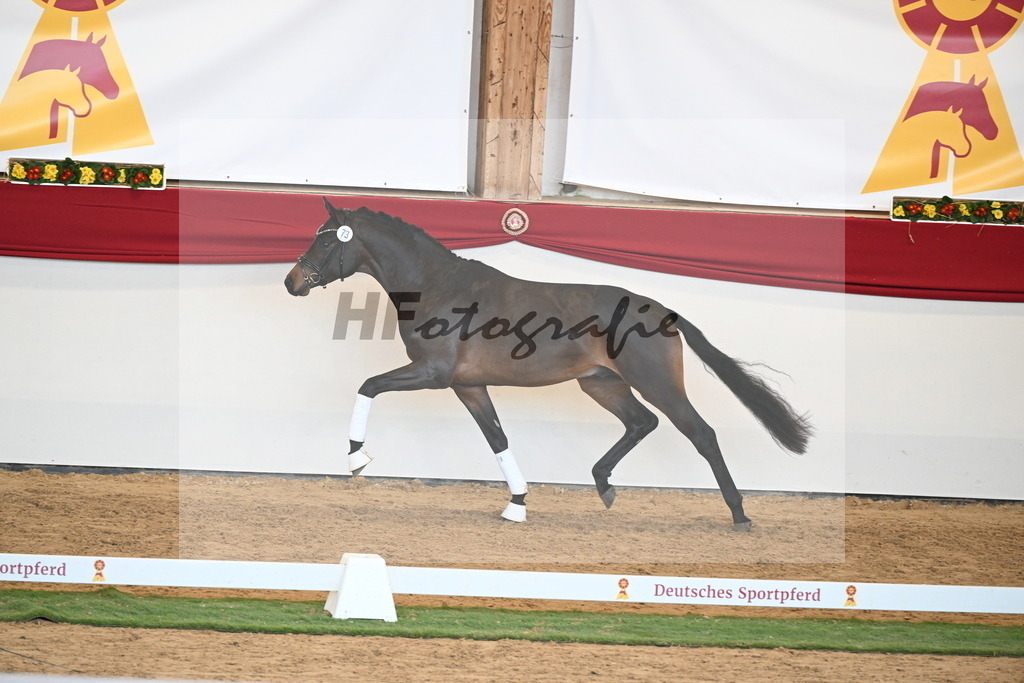 Kat.-Nr. 73 v. McLaren_Schulze Averdiek_2250641 | hf-fotografie - Realisiert mit Pictrs.com