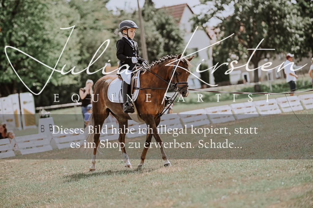 DSC_7639 | Pferde- und Turnierfotografie in Westsachsen. Pferdeportraits, Auftragszeichnungen und intuitive Kunst.