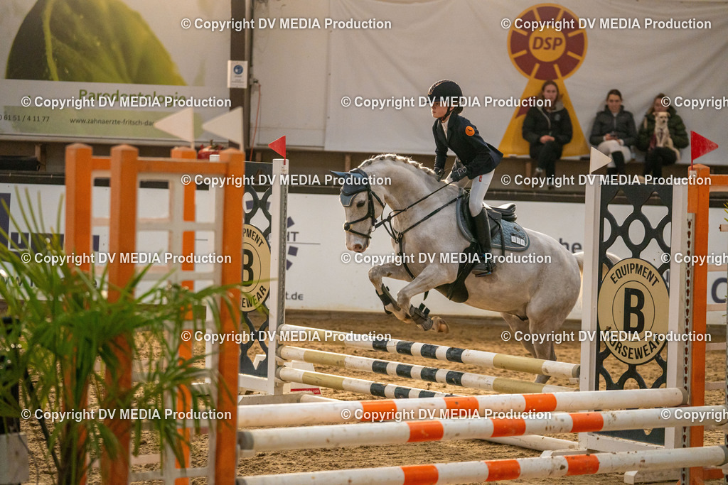 Kranichstein Tag 2-1063 | dv-media-shop - Realisiert mit Pictrs.com