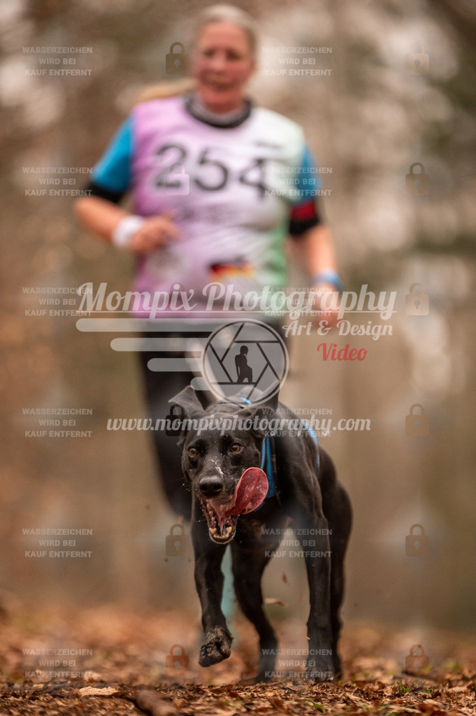 AKM_ST_2023_SAM_Run-159 | PayLife