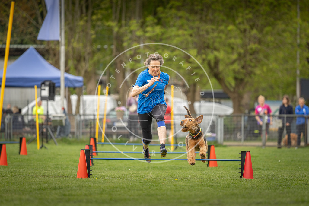 Pfotenfotografie_DV3A8406 | Hundefotografie, Tierfotograf, Pfotenfotografie, Fotoshooting Hund, Hunde Portrait, Hundesport, Hundeportraits, Heideshooting, Hunde, Sportfotograf, Hundefotograf, Turnierhundsport, THS,  - Realisiert mit Pictrs.com