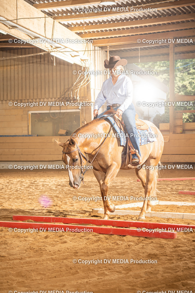 NID02598 | dv-media-shop - Realisiert mit Pictrs.com