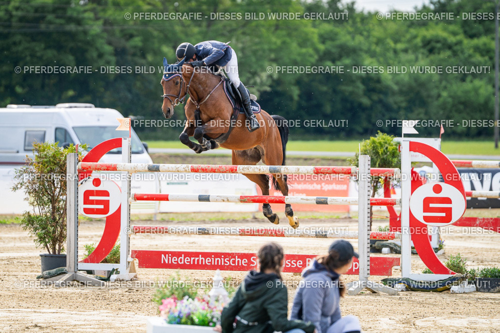 DSC07301 | Pferdegrafie