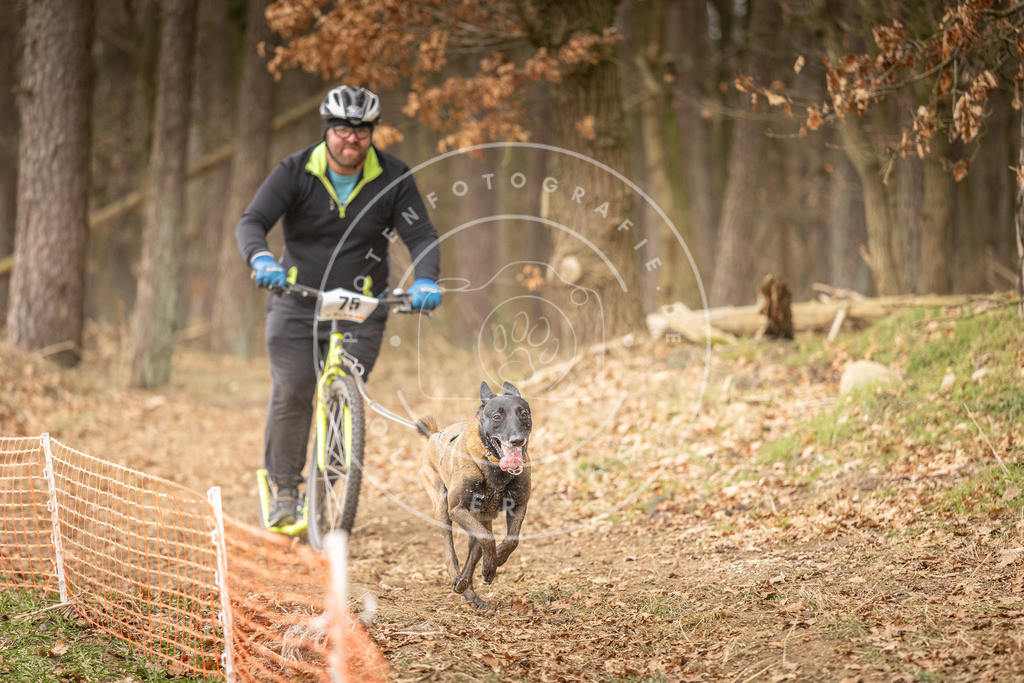 Pfotenfotografie_DV3A4225 | Hundefotografie, Tierfotograf, Pfotenfotografie, Fotoshooting Hund, Hunde Portrait, Hundesport, Hundeportraits, Heideshooting, Hunde, Sportfotograf, Hundefotograf, Turnierhundsport, THS,  - Realisiert mit Pictrs.com