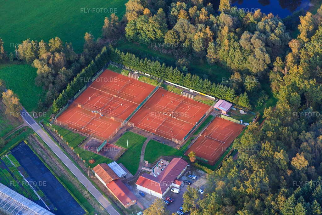 Luftbild: Waldhof Frey am Rand des Bienwalds und Tennisplätze in Steinfeld im Bundesland Rheinland-Pfalz in Deutschland. Foto: IMG_074704.jpg vom 14.10.2014 durch Werner Riehm/FLY-FOTO.de