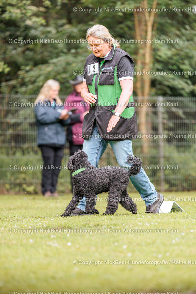 RO-Blumenthal-2026-Nickbest-Hundefotografie-1655 | Dein Hund! Dein Moment! Deine Erinnerungen! Hundefotografie in Bremen Blumenthal. Ich fange die besonderen Momente deines Vierbeiners ein – ob Indoor mit Blitzanlage oder in der freien Natur. Sicher dir dein Moment und dein Termin für eure Erinnerungen.