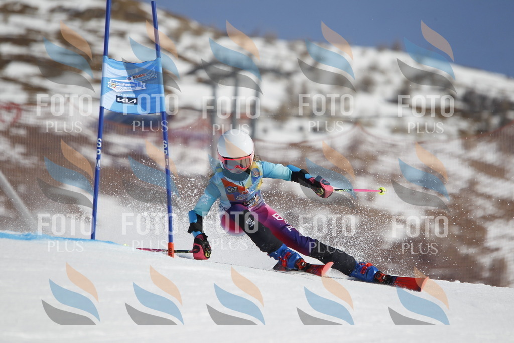 _U3G9874 | holidayphoto