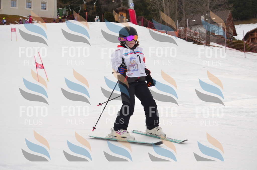 B9576 | holidayphoto