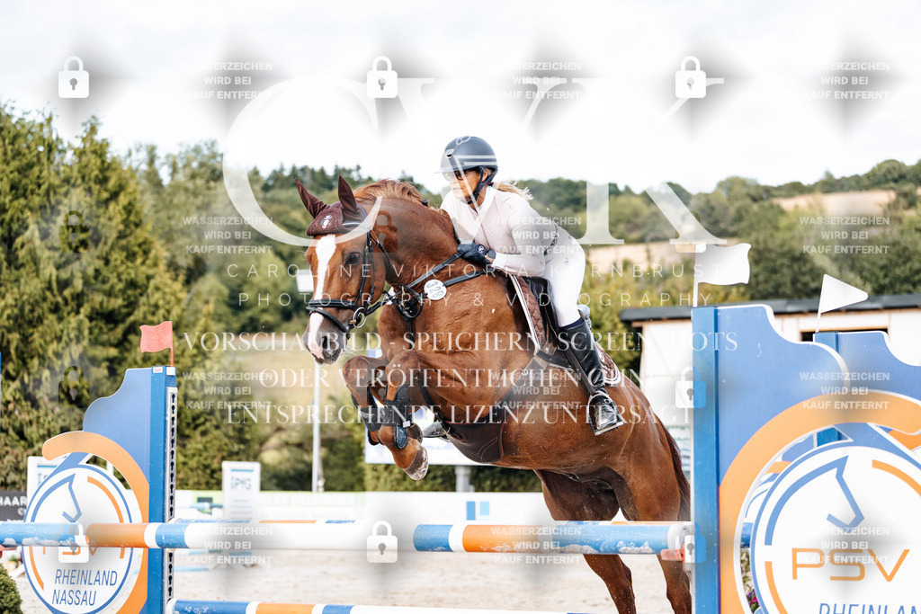 CK903945 | Turnierfotografie Pferdefotografie Trier Rheinland-Pfalz Pferdesport Reitsport Tierfotografie Sportfotografie Pferdevideo Pferdevideografie Equestrianvideography equestrianphotography  - Realisiert mit Pictrs.com