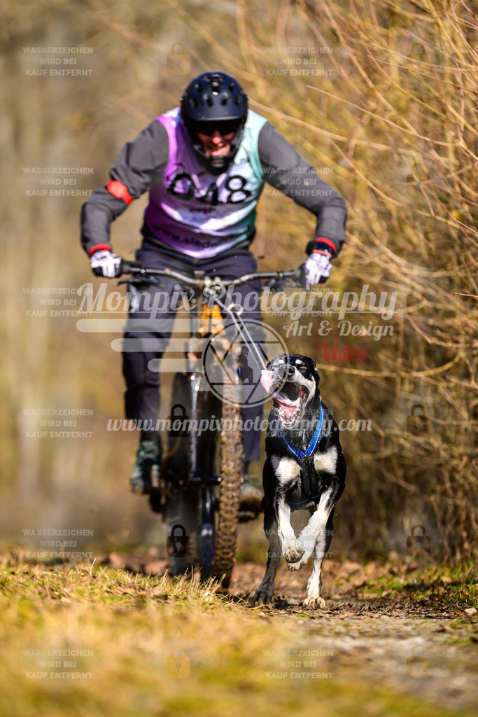 MompixPhotography_Schwabentrail2025_SO_Bike-40 | PayLife