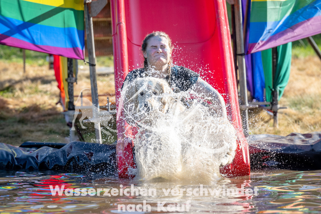 1655_ZZ92543 | kk-dogfotos