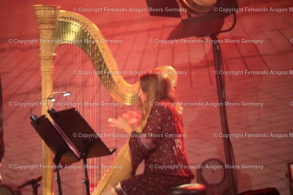 IMG_4617 | aragon-pics - Realisiert mit Pictrs.com