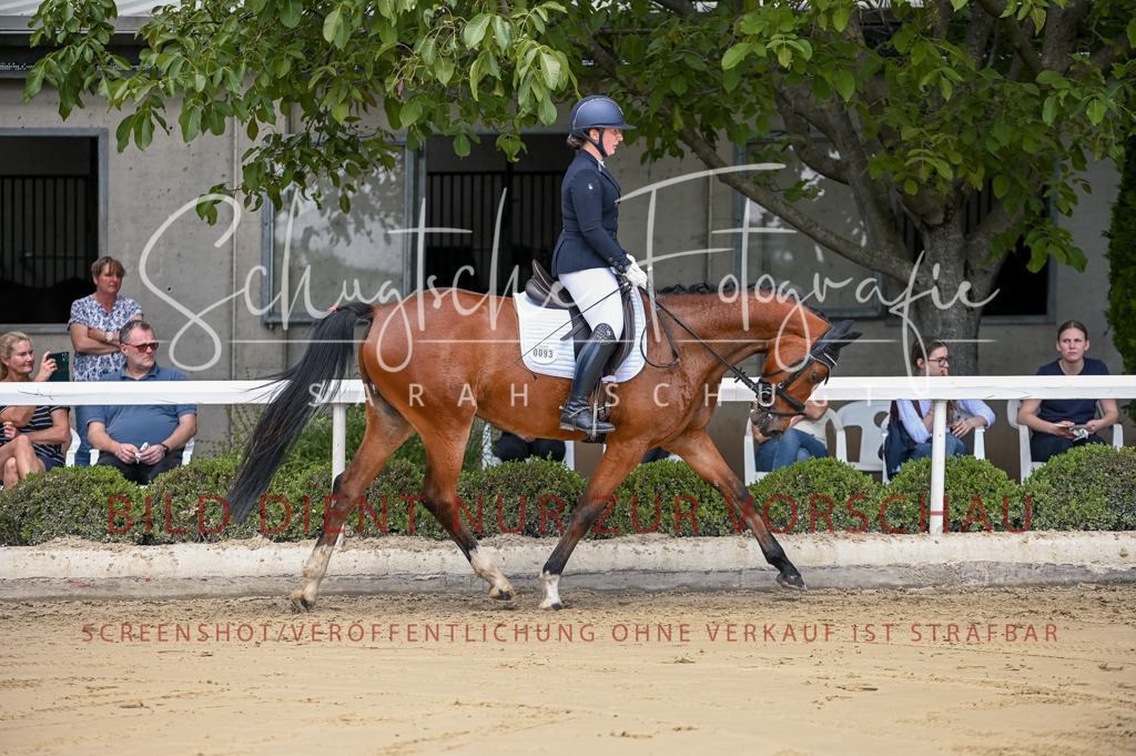 Schugtsche-Aluta25-48.Reitpferfdeprf.-127 | Schugtsche Fotografie - Realisiert mit Pictrs.com