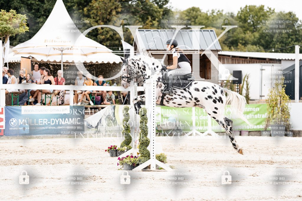 CK908254 | Turnierfotografie Pferdefotografie Trier Rheinland-Pfalz Pferdesport Reitsport Tierfotografie Sportfotografie Pferdevideo Pferdevideografie Equestrianvideography equestrianphotography  - Realisiert mit Pictrs.com