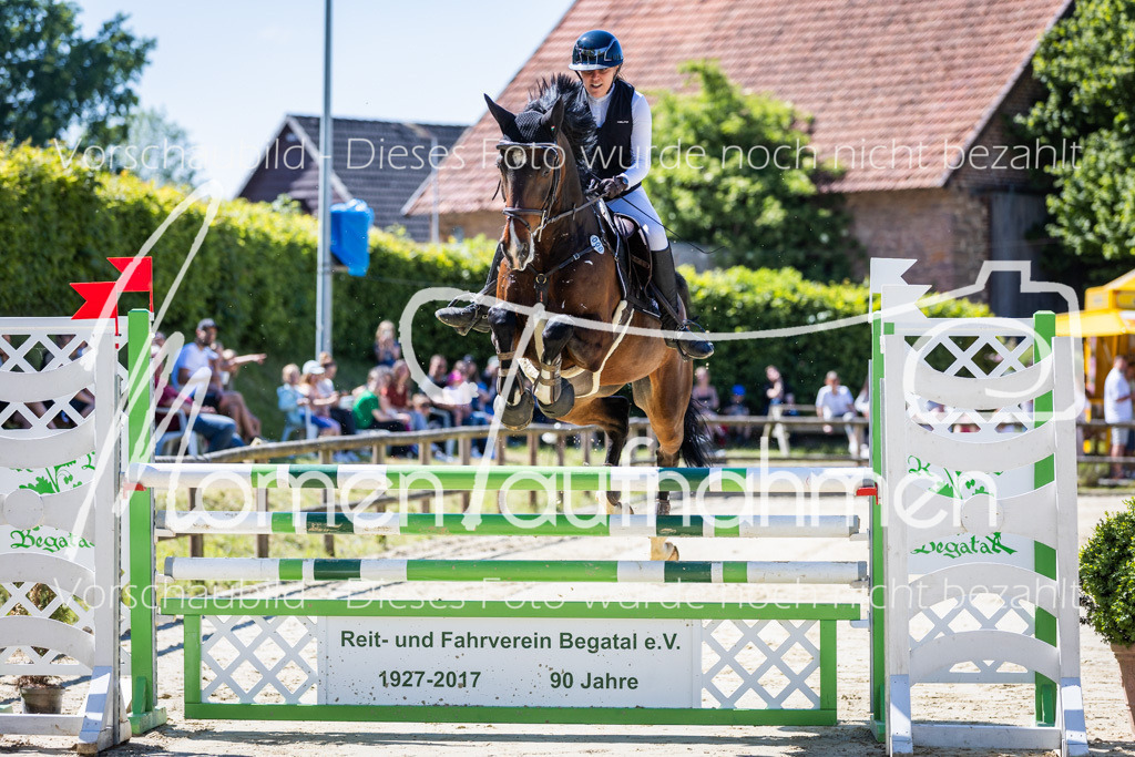 Donop24-M-Spr-012 | MomenTaufnahmen Pferdesportfotos