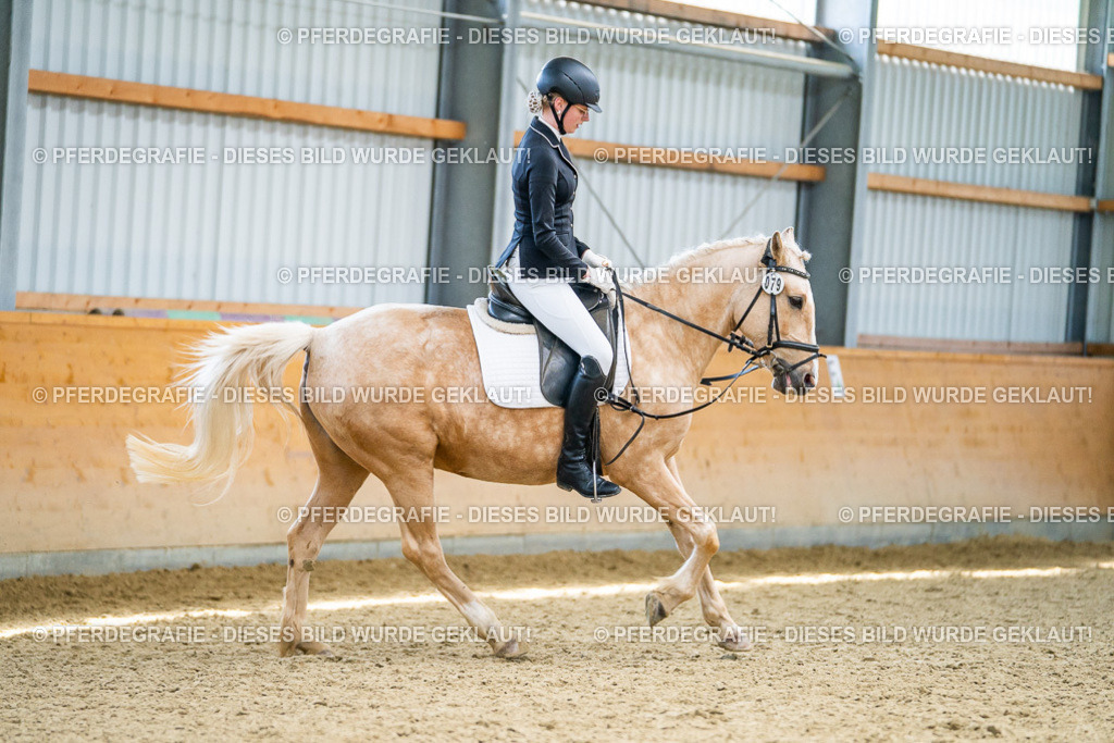 DSC04468 | Pferdegrafie