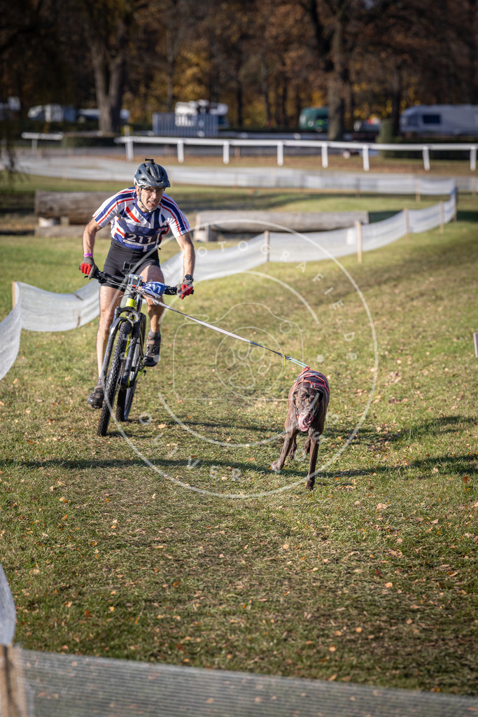 CaniXpix_DV3A3115 | Hundefotografie, Tierfotograf, Pfotenfotografie, Fotoshooting Hund, Hunde Portrait, Hundesport, Hundeportraits, Heideshooting, Hunde, Sportfotograf, Hundefotograf, Turnierhundsport, THS,  - Realisiert mit Pictrs.com