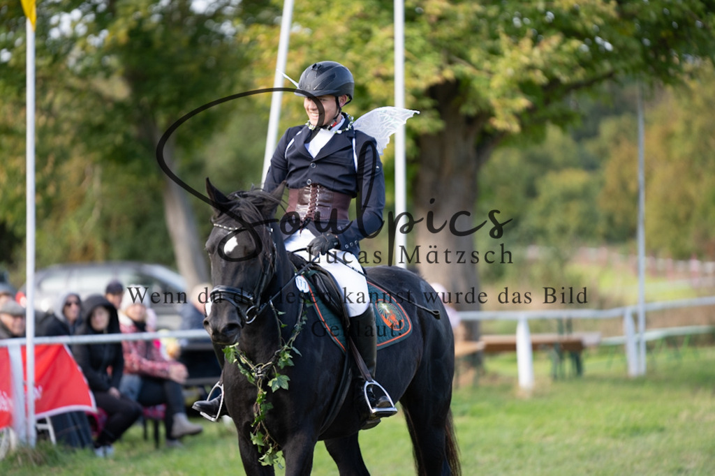 A7V06584 | Pferdefotograf