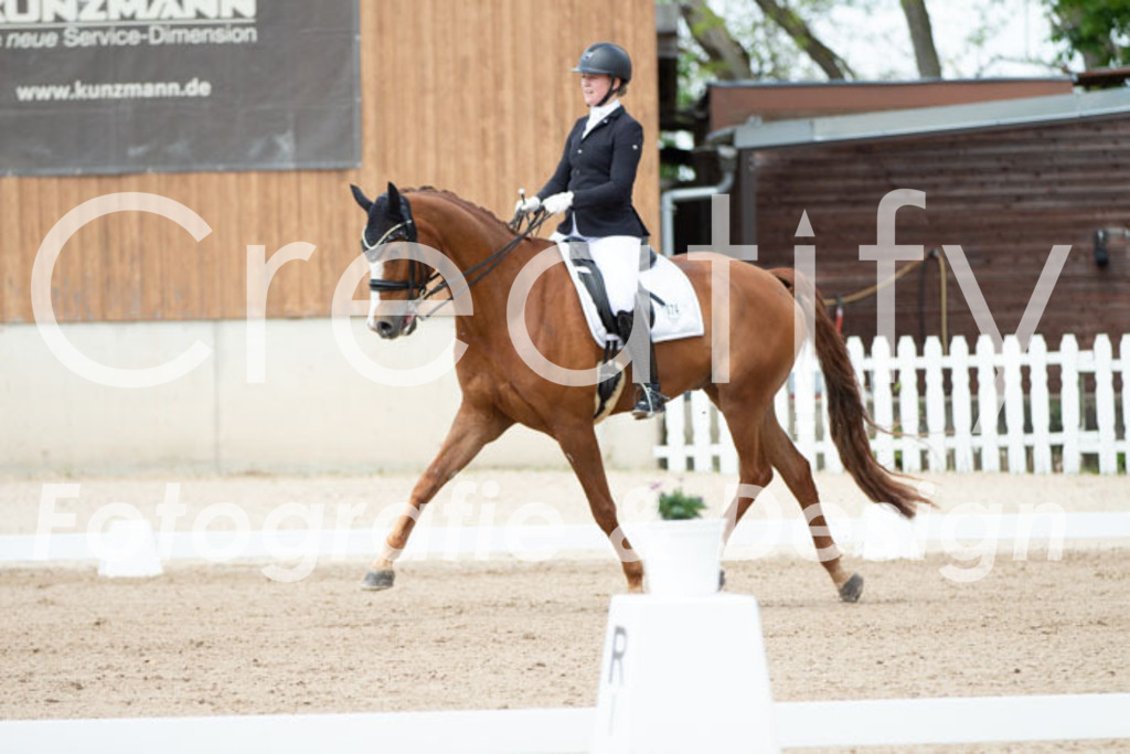 IMG_6173 | Creatify Fotografie