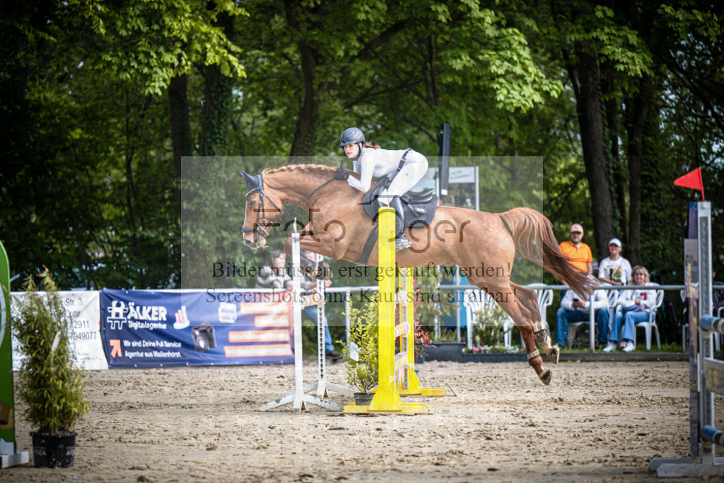 DOS_1388 | Reitturnier Venne 2026 - Realisiert mit Pictrs.com