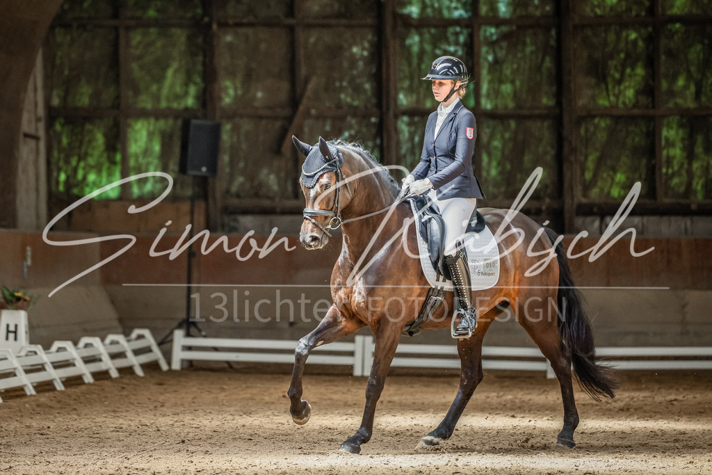 20250621-_3LI6902 | Tierfotografie Pferde, Hunde, Katzen, Haustiere.
Turnierfotografie Reitturniere, Reiten, Springreiten, Dressur in Hanau, dem Main-Kinzig-Kreis und dem Rhein-Main- Gebiet um Frankfurt