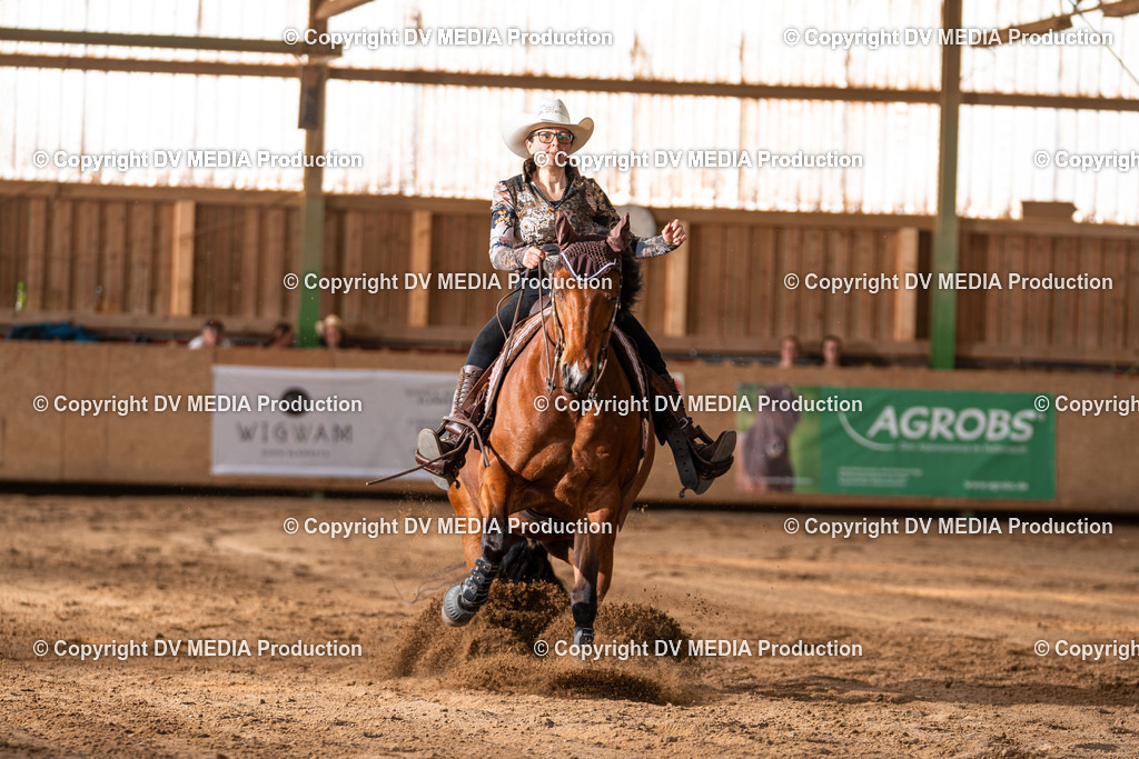 Balingen Tag 2-1415 | dv-media-shop - Realisiert mit Pictrs.com