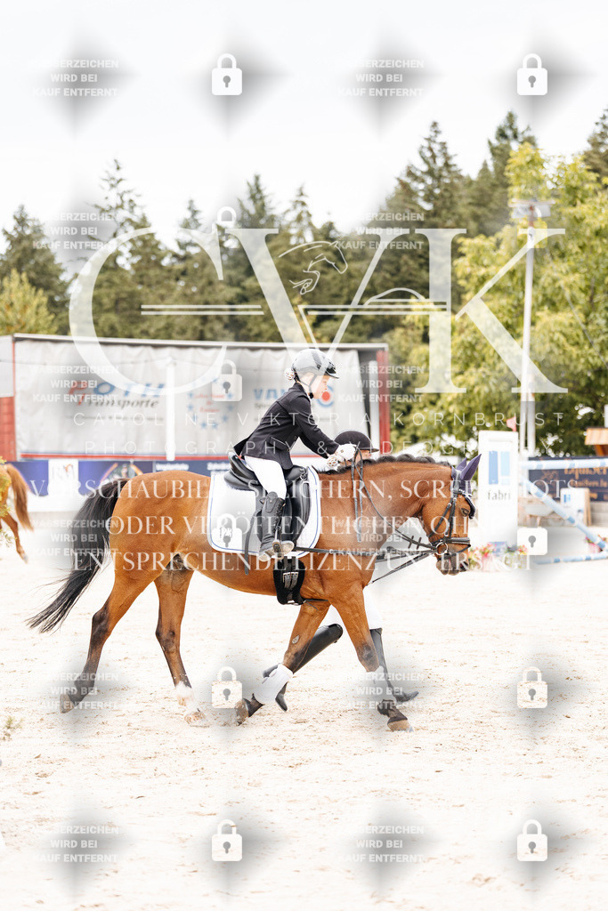 CK907335 | Turnierfotografie Pferdefotografie Trier Rheinland-Pfalz Pferdesport Reitsport Tierfotografie Sportfotografie Pferdevideo Pferdevideografie Equestrianvideography equestrianphotography  - Realisiert mit Pictrs.com