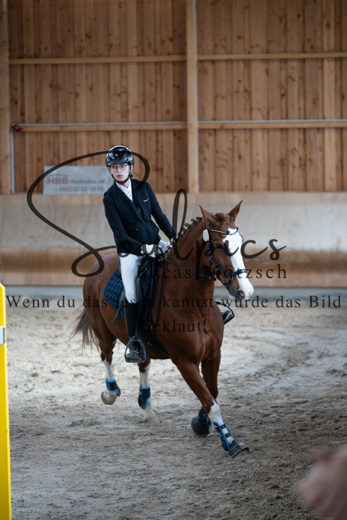 A7V00705 | Pferdefotograf