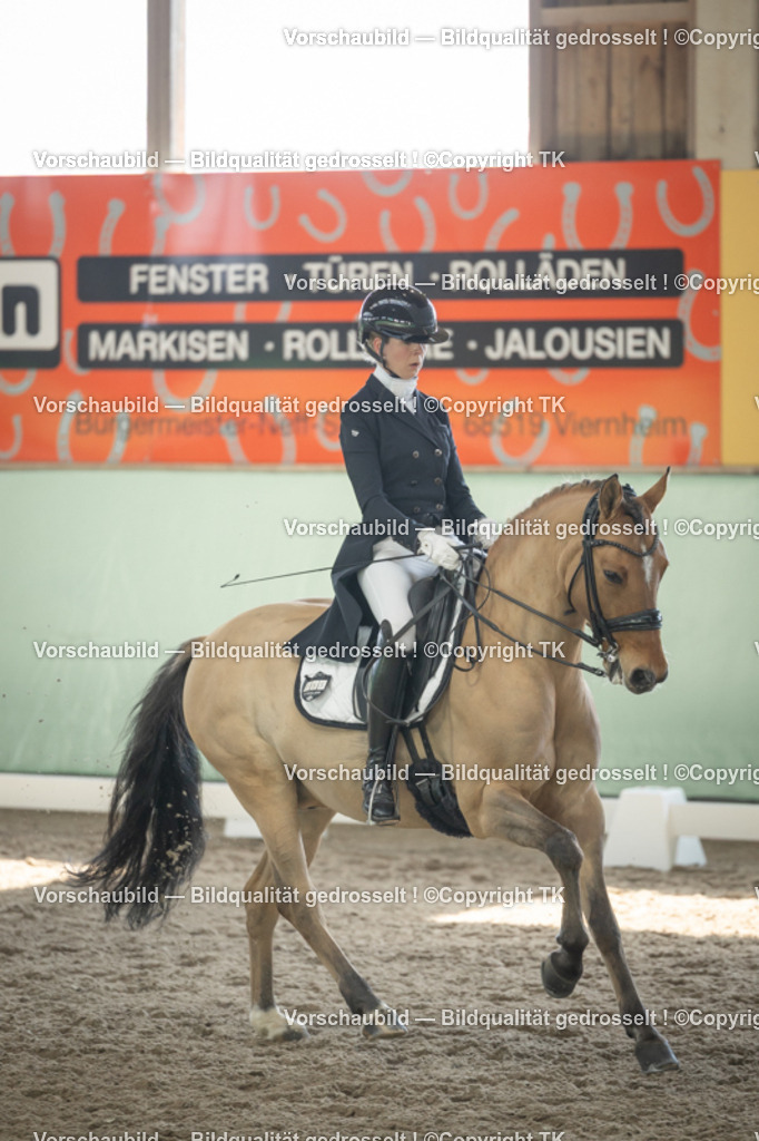 _D5A1778 | Emotionale Pferde- & People-Fotografie rund um Heidelberg, Leimen & Umgebung. Natürliche Fotos von Pferd, Mensch & Familie. Jetzt Termin sichern!