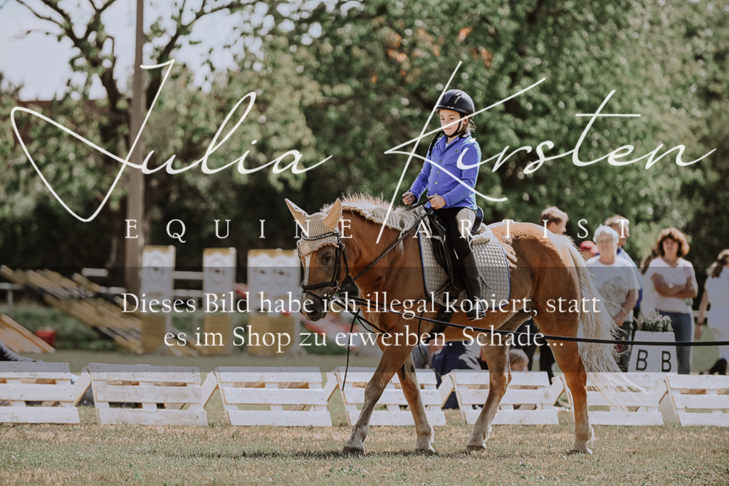 DSC_7510 | Pferde- und Turnierfotografie in Westsachsen. Pferdeportraits, Auftragszeichnungen und intuitive Kunst.