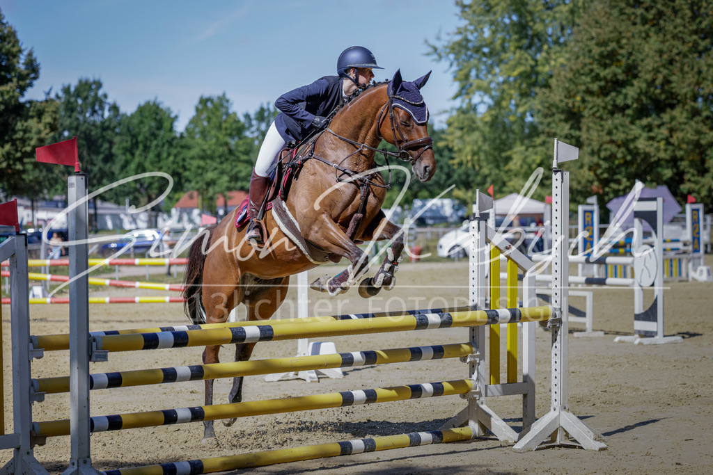 20250906-_3LI4133 | Tierfotografie Pferde, Hunde, Katzen, Haustiere.
Turnierfotografie Reitturniere, Reiten, Springreiten, Dressur in Hanau, dem Main-Kinzig-Kreis und dem Rhein-Main- Gebiet um Frankfurt