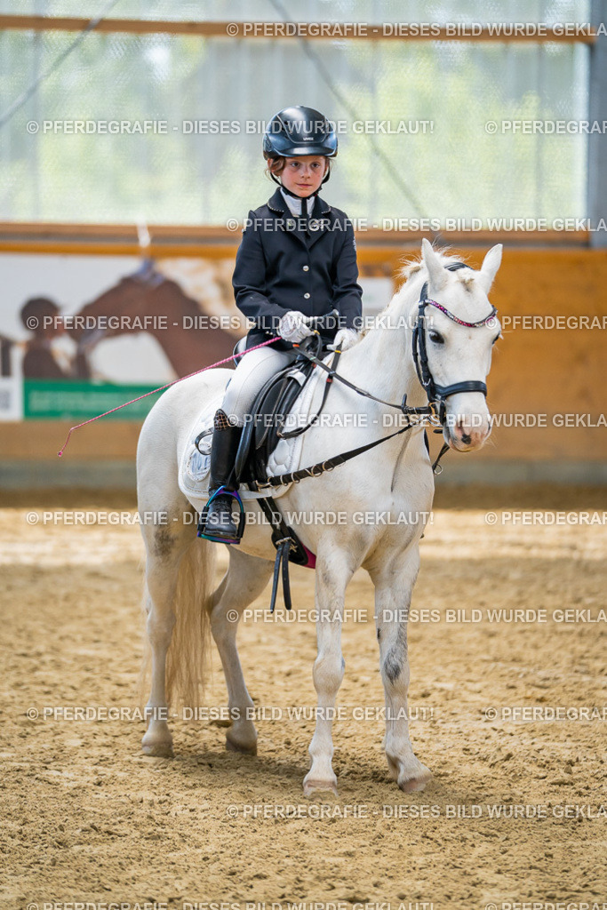 DSC01126 | Pferdegrafie