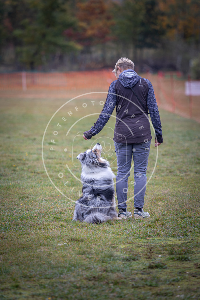 Pfotenfotografie_DV3A9531 | Hundefotografie, Tierfotograf, Pfotenfotografie, Fotoshooting Hund, Hunde Portrait, Hundesport, Hundeportraits, Heideshooting, Hunde, Sportfotograf, Hundefotograf, Turnierhundsport, THS,  - Realisiert mit Pictrs.com